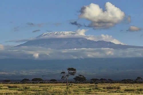 amboseli safaris