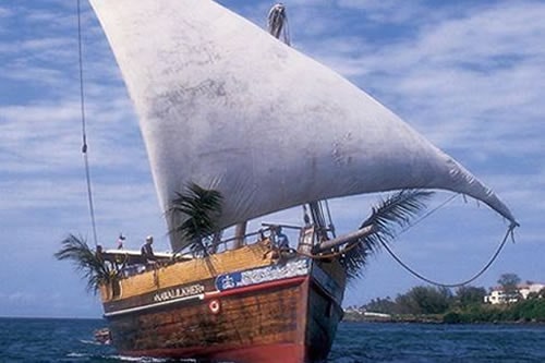 dhow safaris