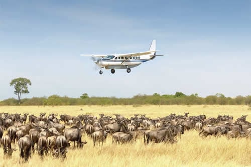 flying safaris