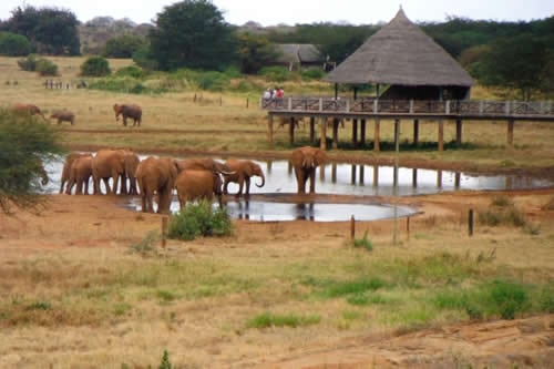 tsavo east west